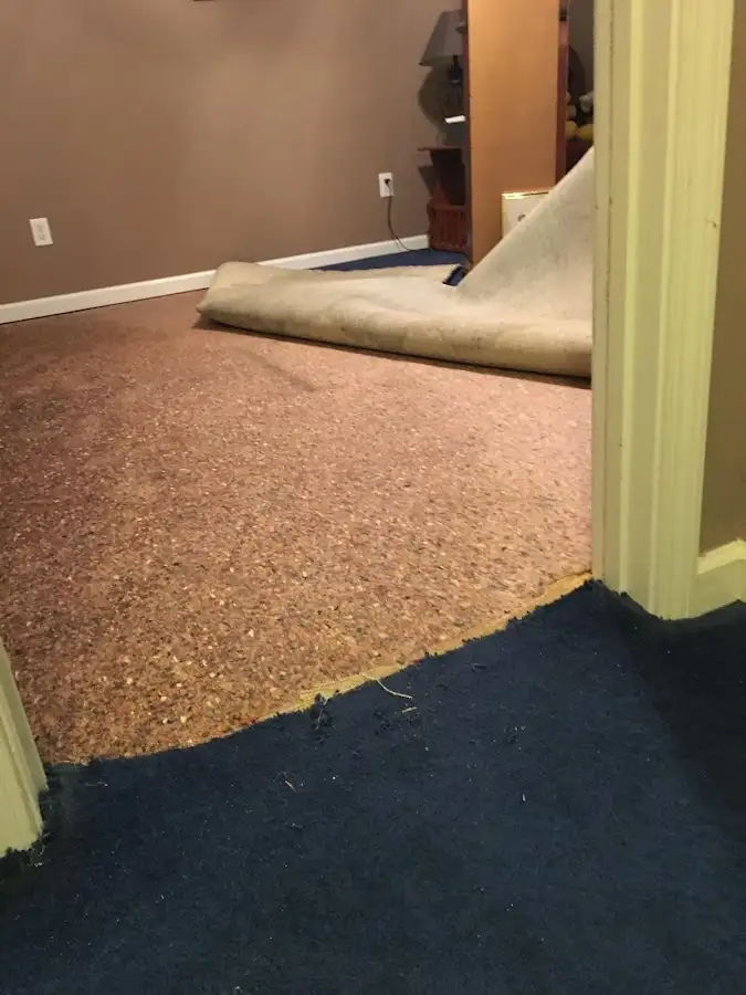 Carpet pad removal revealing water damage during Drying & Dehumidification in Sterling Heights
