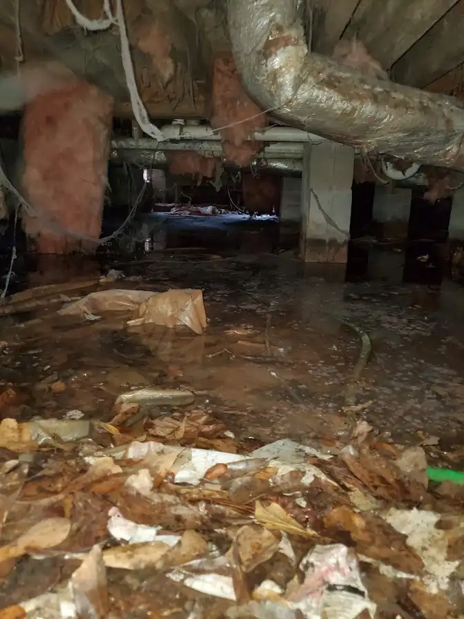 Crawl space flood assessment for Commercial Water Damage Restoration in Sterling Heights