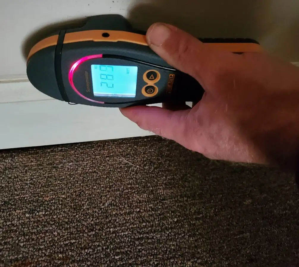 Moisture detection at baseboard during Sewage Cleanup & Sanitation in Sterling Heights